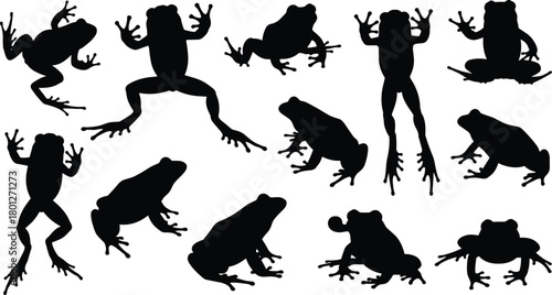 Frog silhouettes in various poses, jumping, crouching, sitting, isolated, black shapes, animal movement, vector illustration, biology reference
