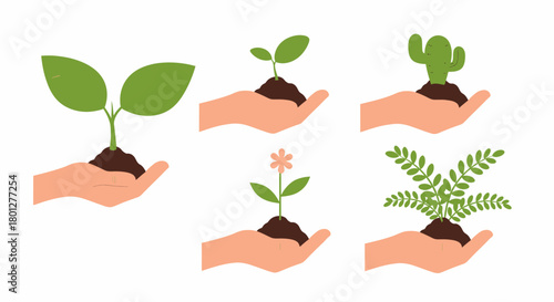 A collection of human hands holding different young plants, including a seedling, cactus, flower, and fern.