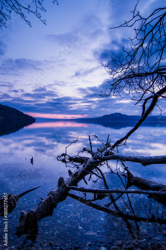 Wallpaper Mural 淡い青に染まる夜明けの湖。岸辺の枯れた倒木と湖面に映る空の静寂の風景。 Torontodigital.ca