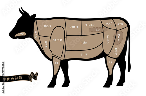 牛肉の部位の名称　日本語表記