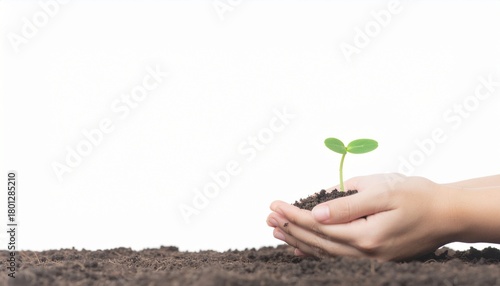 Tender hands gently holding new seedling with soil symbolize growth and hope for the future