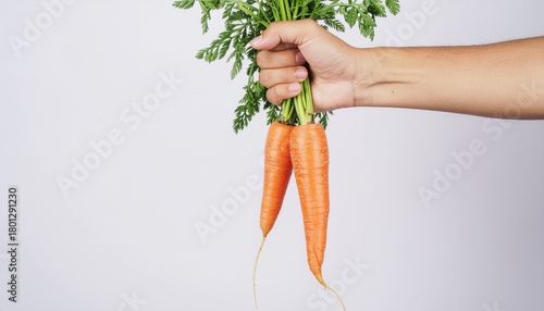 Fresh organic carrots held in hand, vibrant orange, healthy eating concept, farm fresh produce, simple studio