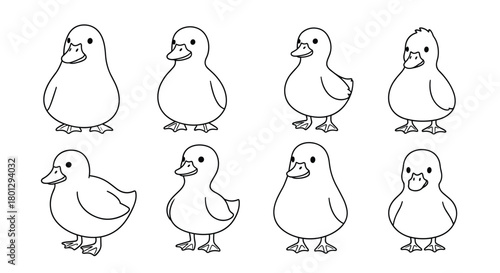 Set of eight adorable baby duckling outline drawings in various cute poses perfect for children's illustrations and animal themes.