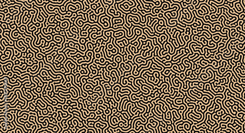 An intricate seamless abstract organic pattern resembling a reaction diffusion system or a complex maze in beige on a black background.