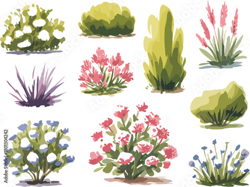 Stylized plant illustration bundle, colorful vector set of ornamental shrubs, flowering bushes, garden foliage, nature design, landscaping elements, decorative flora