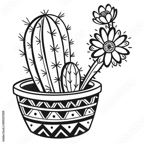 Simple outlined cactus with flowers growing in decorative pot looks quite appealing
