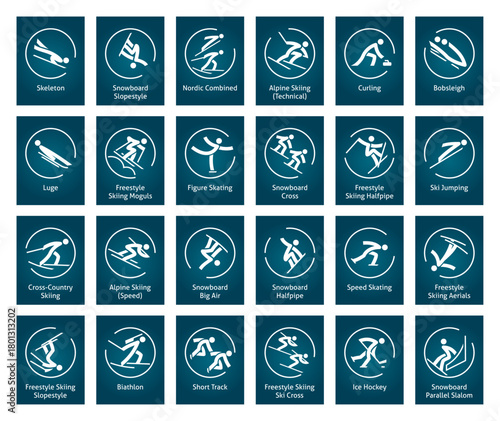 Winter sports icons set, vector pictograms