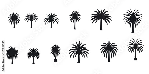 Collection of diverse black palm tree silhouettes in various sizes and shapes on a white background