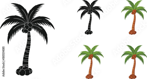 Palm tree silhouettes and colorful illustrations a tropical vegetation collection