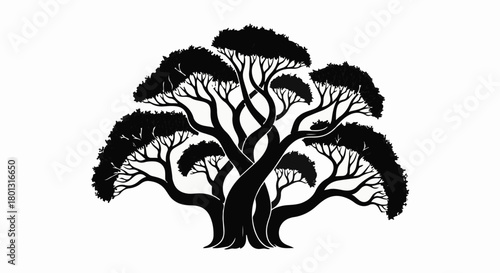 Majestic silhouette of a large, ancient tree with sprawling branches against a white background.