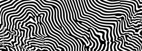 Motivo astratto di linee curve bianche e nere, un disegno grafico moderno e dinamico