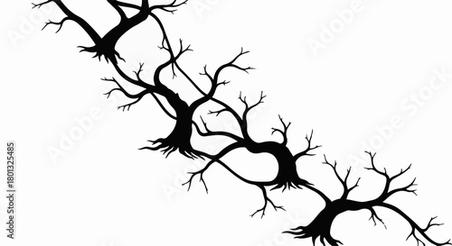 Eerie, silhouetted bare trees twist and connect against a stark white background.