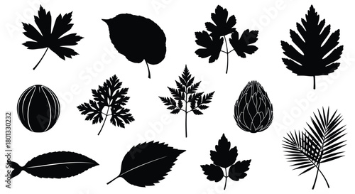 Black leaves silhouettes vector botanical foliage illustration
