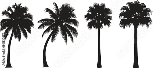 Silhouettes of four different palm trees against a white background representing a tropical landscape