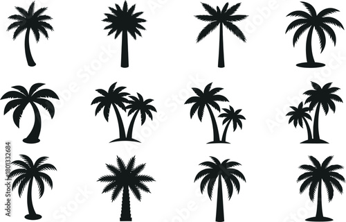 Collection of diverse black palm tree silhouettes isolated on white background for tropical design elements