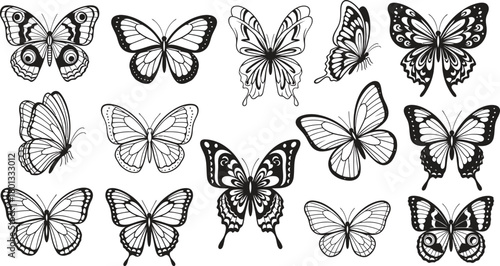 Collection of detailed black and white hand drawn butterfly illustrations in various styles and poses
