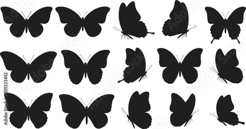Collection of silhouetted butterflies in various poses and wing positions on a white background