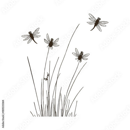 Dragonflies flying over the grass. Traditional oriental ink painting sumi-e, u-sin, go-hua. Hieroglyph - clarity