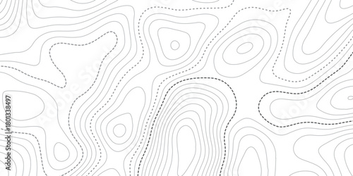 Abstract white and black contour line pattern, resembling a topographic map. The overall style should be minimalistic, modern, and artistic. wavy topographic map and curved line background.