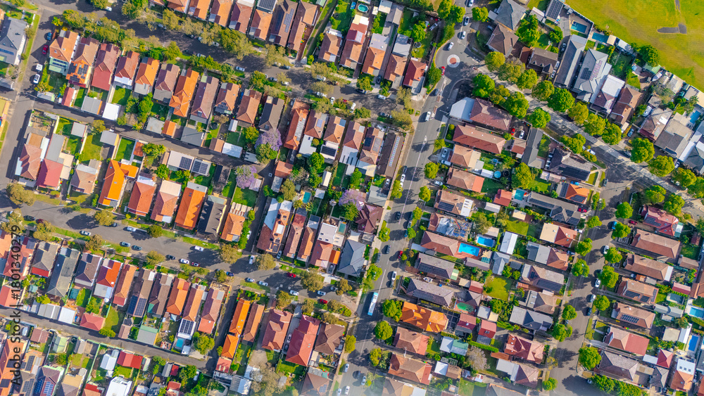 Fototapeta premium Aerial Panorama Drone View of a inner western Sydney Suburb of Ashbury Urban Sprawl and the terracotta roof tops streets and trees of Suburban Sydney NSW Australia