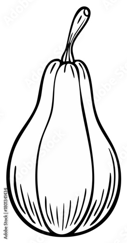 Stylized Line Art of a Butternut Squash with Smooth Curves and Simple Stem