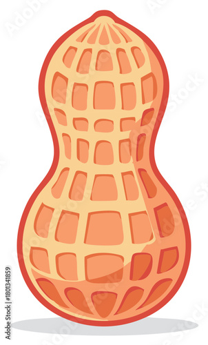 Stylized vector illustration of a single whole peanut in its shell a healthy snack food concept
