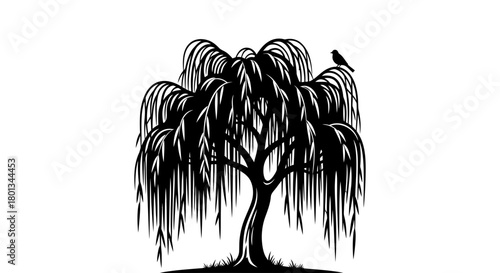 Black and white willow tree vector illustration with bird art