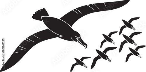 Albatross silhouette flying over ocean waves small seabird group black and white vector artwork illustration.