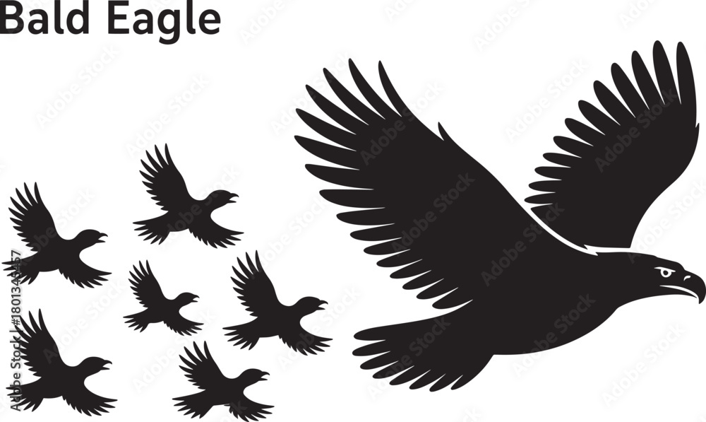 Obraz premium Bald eagle silhouette flying wings spread group of small birds black vector graphic artwork symbol design.