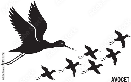 Avocet bird silhouette wading shorebird flying flock icon set isolated vector elements for design artwork
