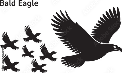 Bald eagle silhouette flying wings spread group of small birds black vector graphic artwork symbol design.