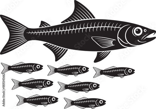 Black and white silhouette of large herring fish skeleton with several small fish on transparent background