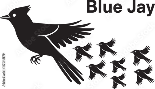 Black silhouette blue jay bird and seven small flying birds abstract graphic vector illustration element