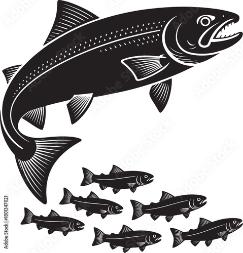 Large salmon fish engraving drawing style vector illustration with school of juvenile fish silhouettes