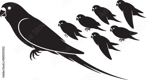 Long tailed parakeet or parrot standing next to small flying and perched birds in simple silhouette graphic vector