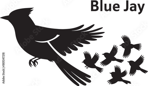 Silhouette blue jay bird and flock of five smaller birds flying abstract graphic vector illustration