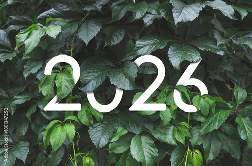 2026 New year white text hidden in natural green leaves wall