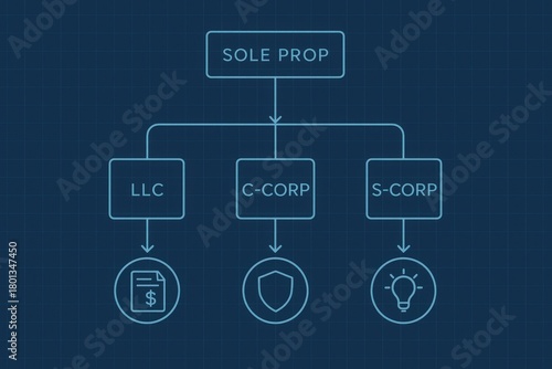 Comprehensive Business Structure Analysis for Entrepreneurs, Navigating LLC, C Corp and S Corp Dynamics to Choose Optimal Paths for Legal and Financial Efficiency