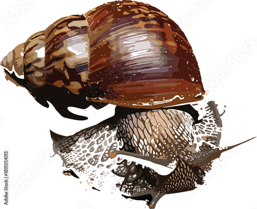 Stylized snail illustration, vector art, textured shell, abstract animal design, colorful mollusk, nature concept, artistic wildlife graphic