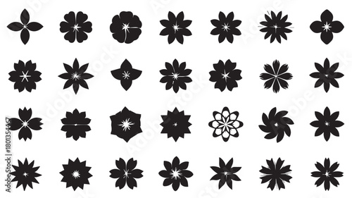 Collection of diverse black floral and geometric ornamental silhouettes on white background for design elements