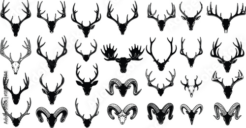 Stylized, animal, head, illustration, antlers, horns, wildlife, taxonomy, vector, silhouette, graphic, moose, deer, ram, nature, contour, design, collection