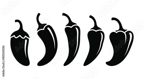 Black chili peppers vector illustration spicy food ingredients