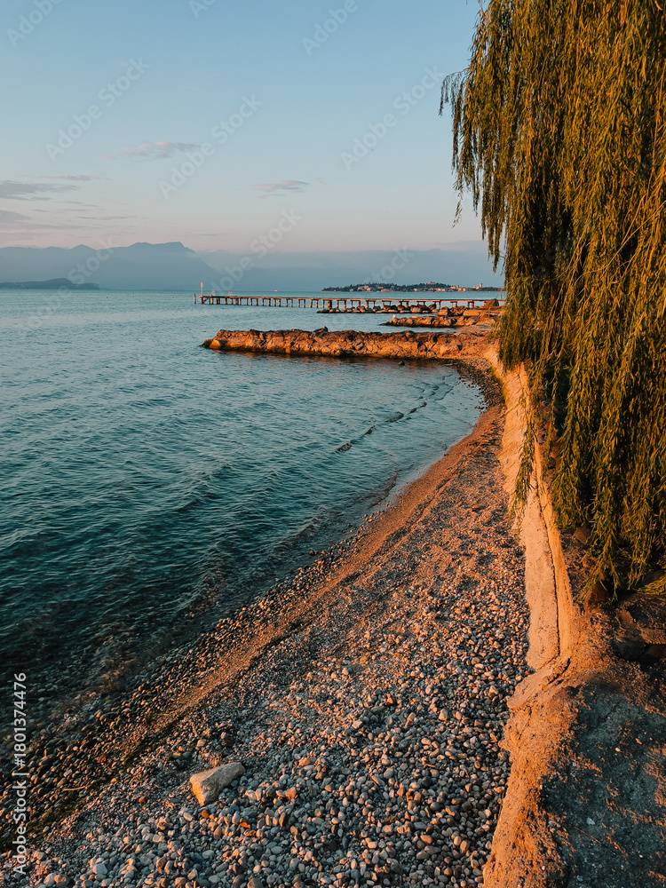 Fototapeta premium Golden hour light illuminating pebble beach and willow tree by Lake Geneva with pier and mountains in background during clear summer evening. Swiss Alps at Lake Geneva during serene summer twilight