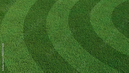 Wallpaper Mural Green grass texture background. A perfectly manicured Sports field / Pitch / Garden Lawn wallpaper with circular stripes. Torontodigital.ca