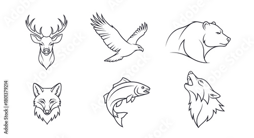Line art illustration of six different animals: deer, eagle, bear, fox, fish, and wolf.