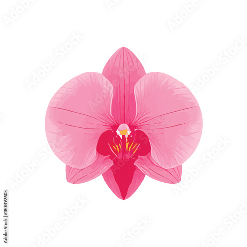 Minimalist ink wash painting with pink phalaenopsis orchid. Traditional oriental ink painting sumi-e, u-sin, go-hua. Translation of hieroglyph - eternity.
