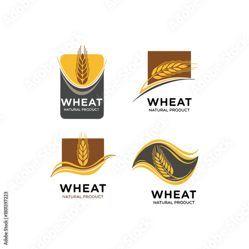 Elegant wheat logo design options for organic food product branding