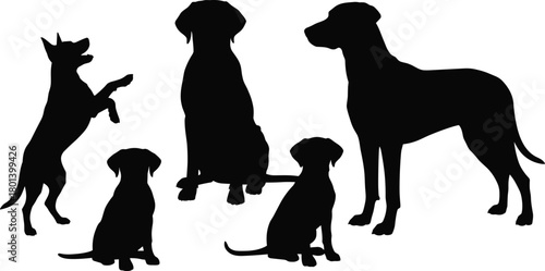 Group of dog silhouettes sitting and standing, adult dogs and puppies together, domestic pet animals in different poses, friendly family dogs collection, playful 