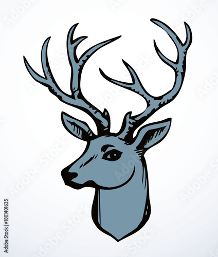Beautiful noble deer. Vector drawing