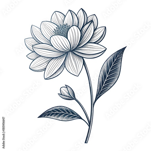 Focus on Subject & Style)
Crimson Peony and Bud
A Bold Study in Traditional Line Art
Option Focus on Mood & Symbolism)
The Emblem of Prosperity
Elegant Beauty in Scarlet Hue